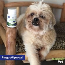 Carregar imagem no visualizador da galeria, PHOSPHO PET | 60 Tablets
