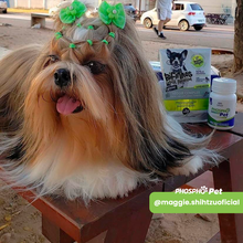 Carregar imagem no visualizador da galeria, Combo 2 Phospho Pet - Fosfoetanolamina para pets
