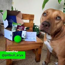 Carregar imagem no visualizador da galeria, Combo 3 Phospho Pet - Fosfoetanolamina para Pets
